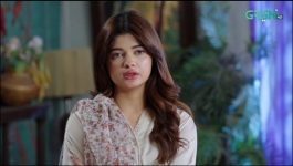 Mohabbat Aur Mehangai - Episode 61